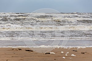 Beach Ã¢â¬â¹Ã¢â¬â¹foam Egmond aan Zee, The Netherlands